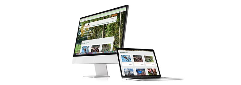 Wordpress Webdesignbureau Muilwijk Boomverzorging